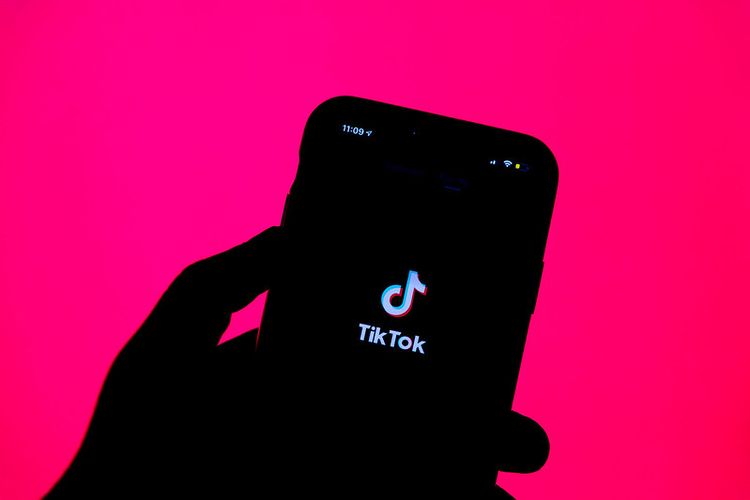 The push to ban TikTok